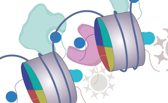 Bartke Springer Histone Methylation
