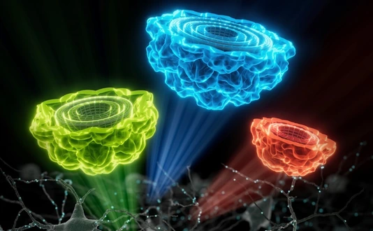 GFPs for Electron Microscopy