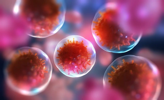 Cells Virus 3D