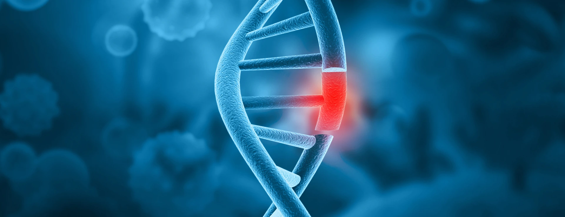 Epigenetik und Allergie