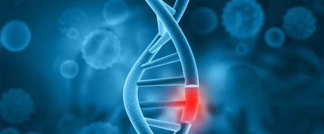 DNA - Epigenetische Faktoren und Allergie
