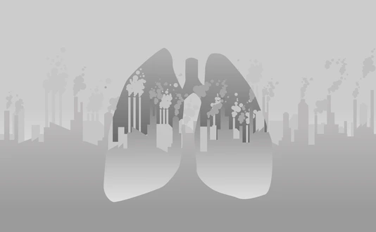 Silhouette lung smoke from city and factory. Concept for Air pollution and environment crisis.