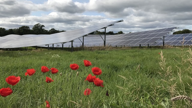 BayWa r.e. welcomes positive planning decision for Tipperary solar farm
