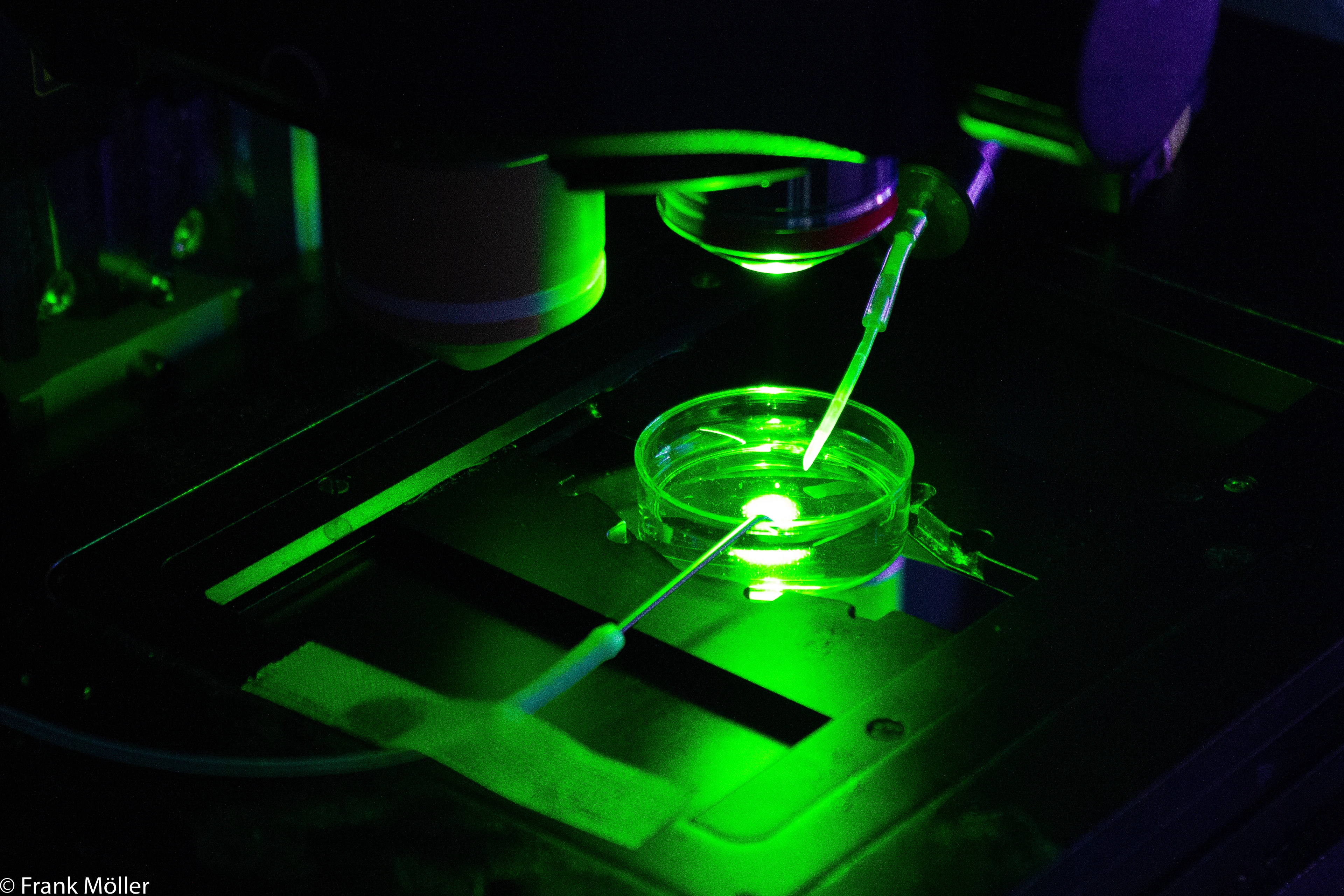 Mikroskopobjektiv Grüner Laser 1 (IMG_7076)
