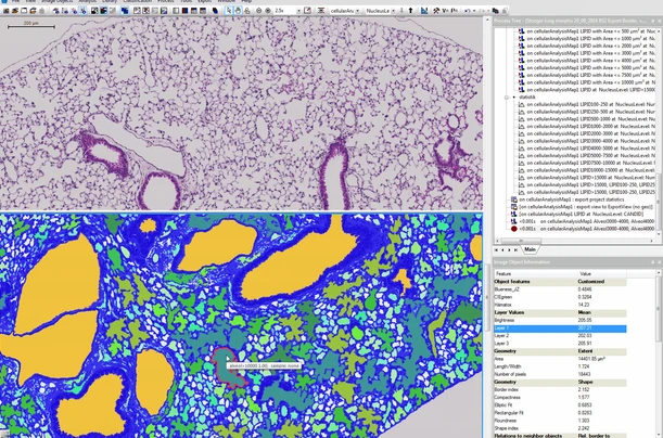 2D Image Analysis