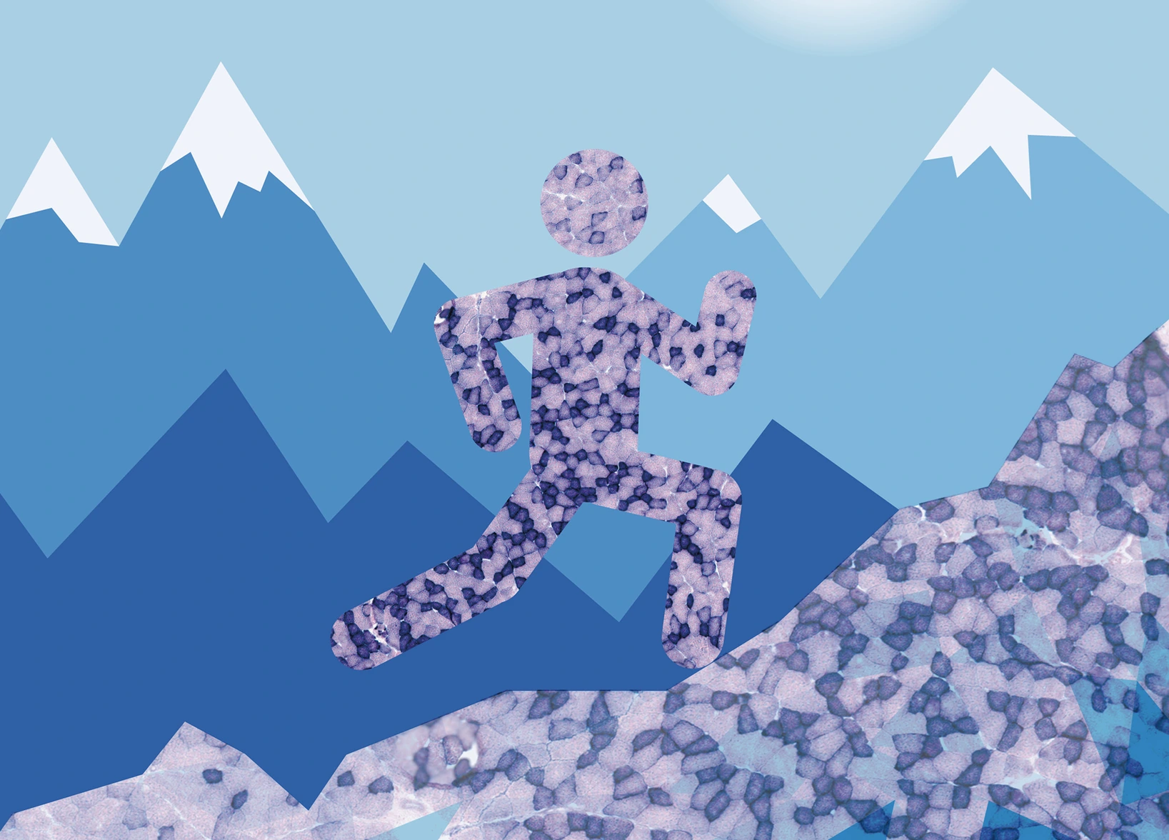 Mountain_Triangle_FINAL