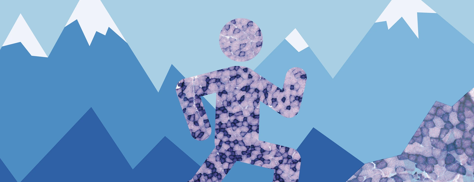 Mountain_Triangle_FINAL