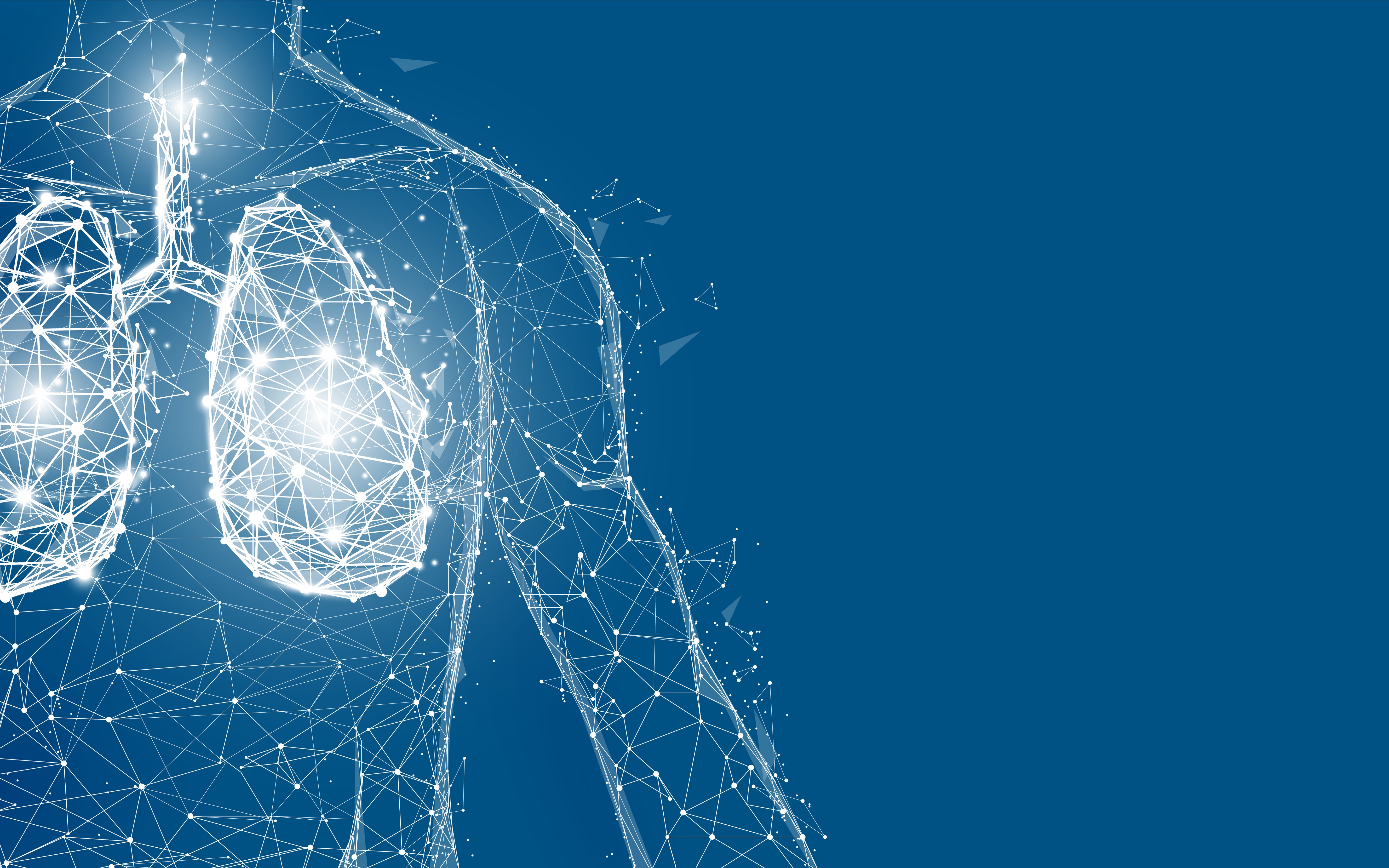 Human lungs anatomy form lines and triangles, point connecting network on blue background. Illustration vector