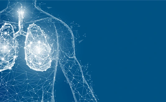 Human lungs anatomy form lines and triangles, point connecting network on blue background. Illustration vector