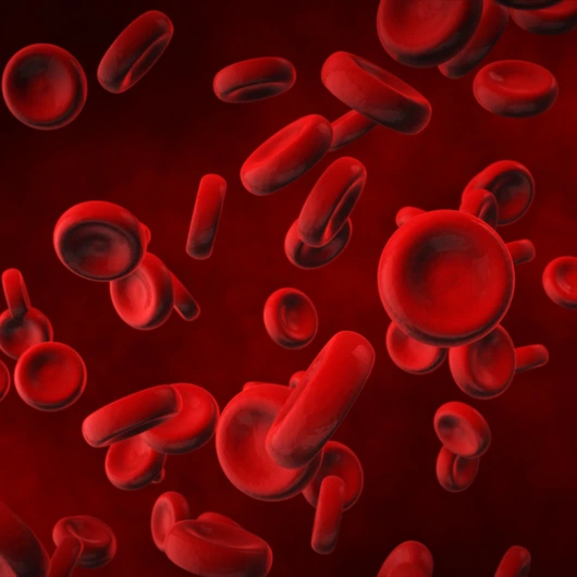 View under a microscope, blood-red blood cells in a living body, 3d illustration.