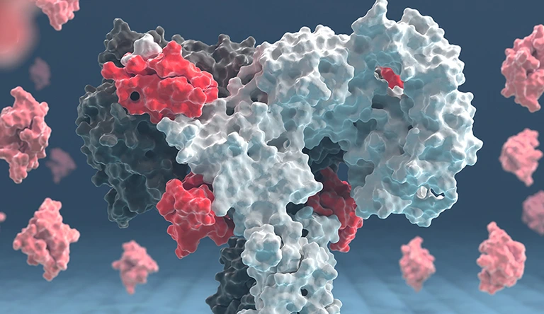 Animation_IR_Coskun_JCB_Cover_small