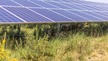 Nos références agrivoltaïques ovins en France