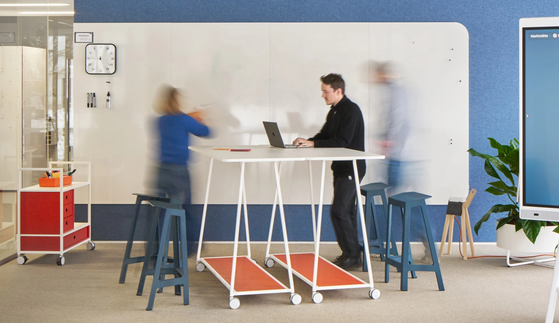 AcMedia Image