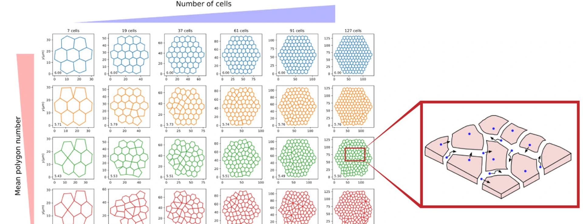 Communication is the key, also between cells.