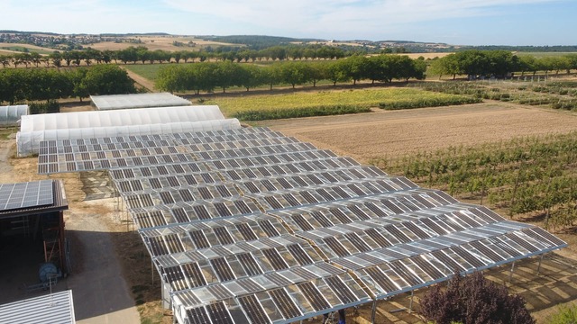 the Agri-PV pilot in Oedheim seen from above