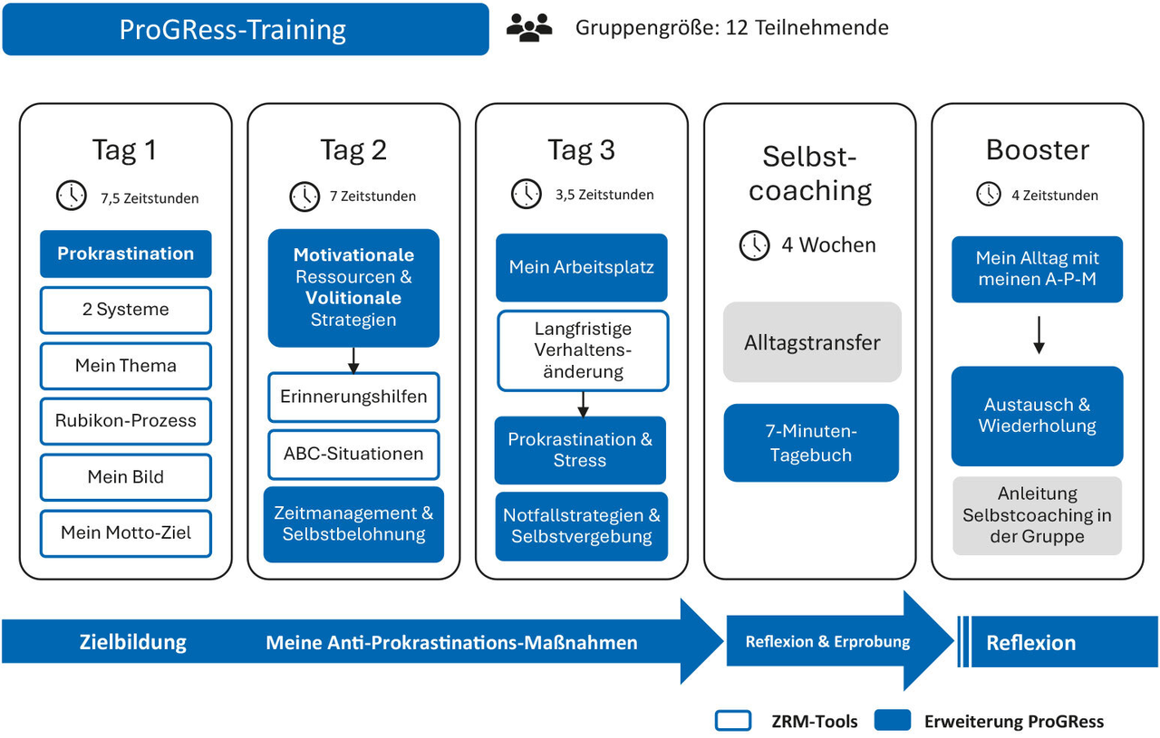 Eine Illustration, die die verschiedenen Phasen des ProGRess-Trainings zeigt