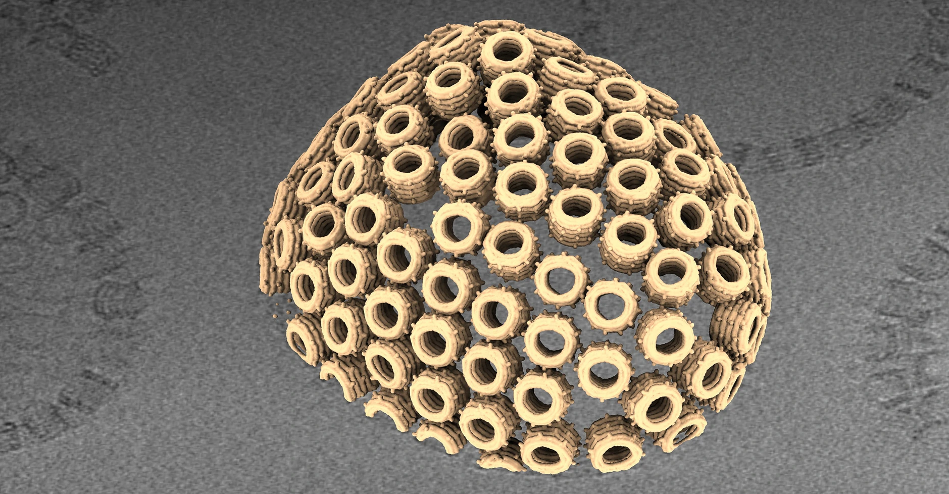 Abbildung Nature Materials Paper Marion Jasnin