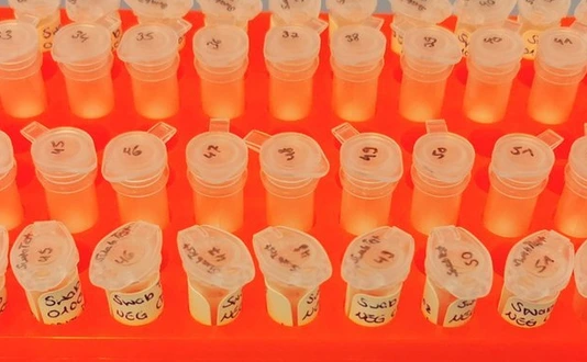 Mikrobiom-Proben