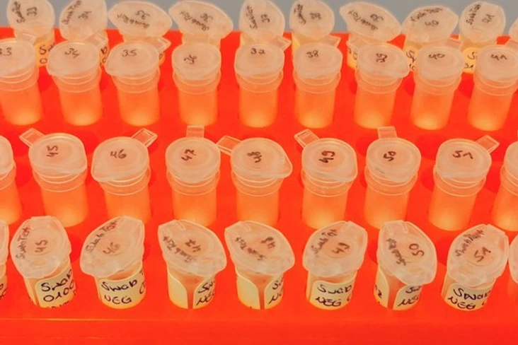 [Translate to German:] 