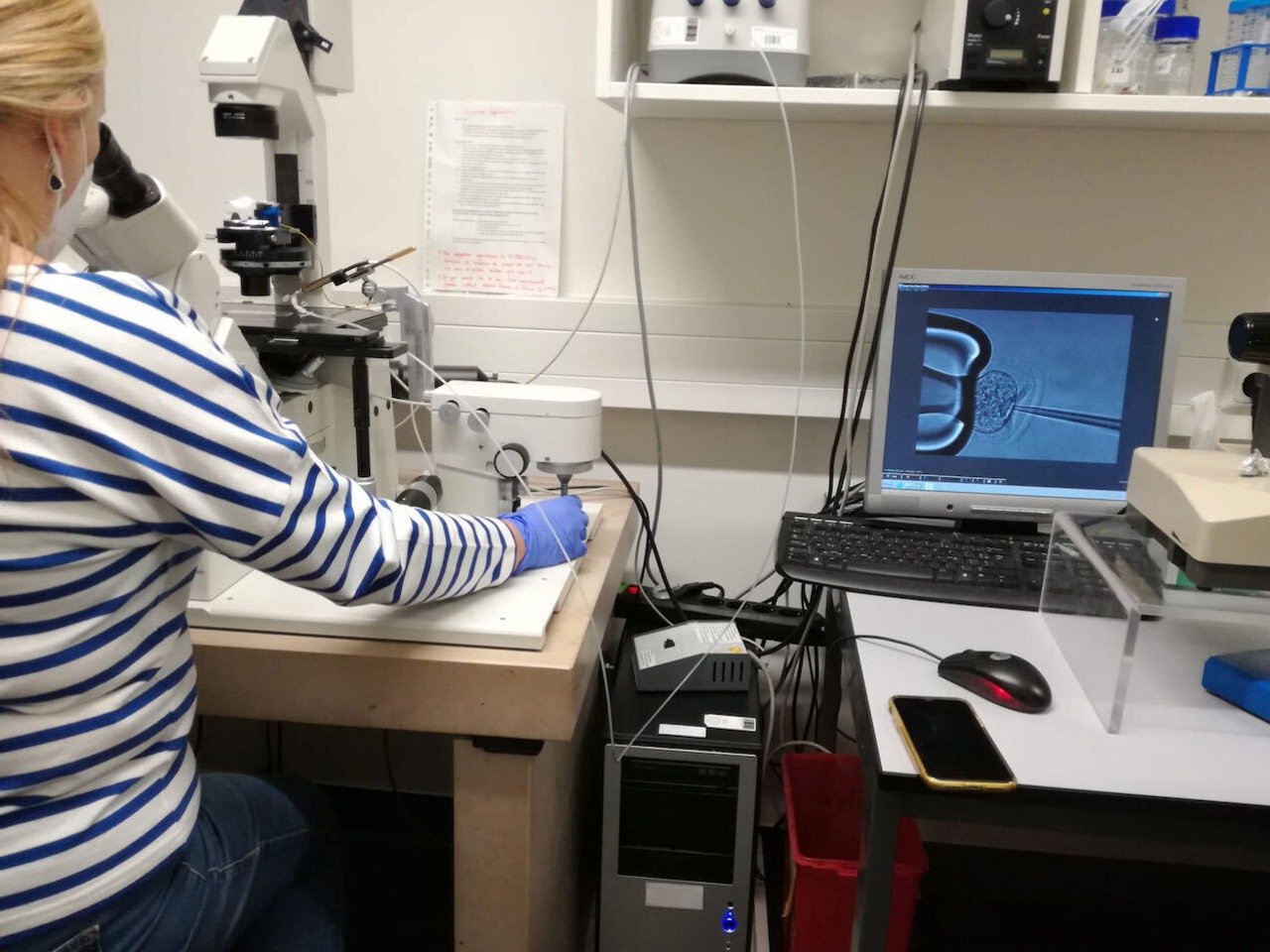 Art_the_IES_1d564074-af8a-4da8-b26d-77b946380c27