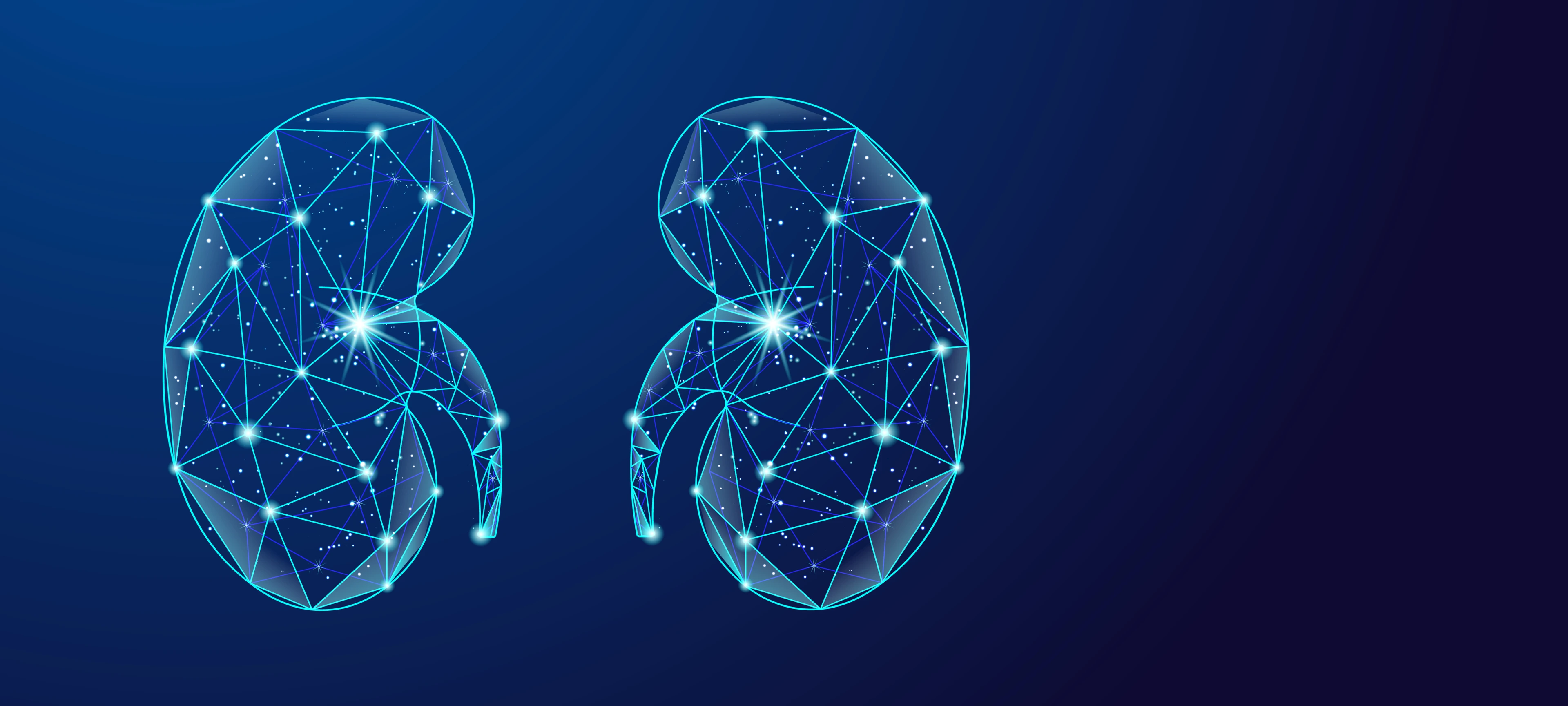 Kidney Picture AI-Generated