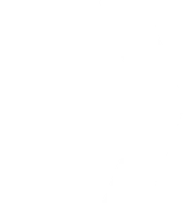 Helmholtz-Munich-Logo-Arrow-white
