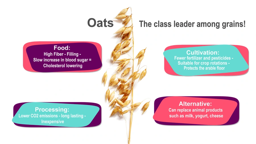 Hafergrafik_PGSB_englisch_1.2_jpeg