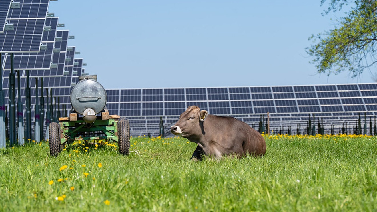 Agri-PV