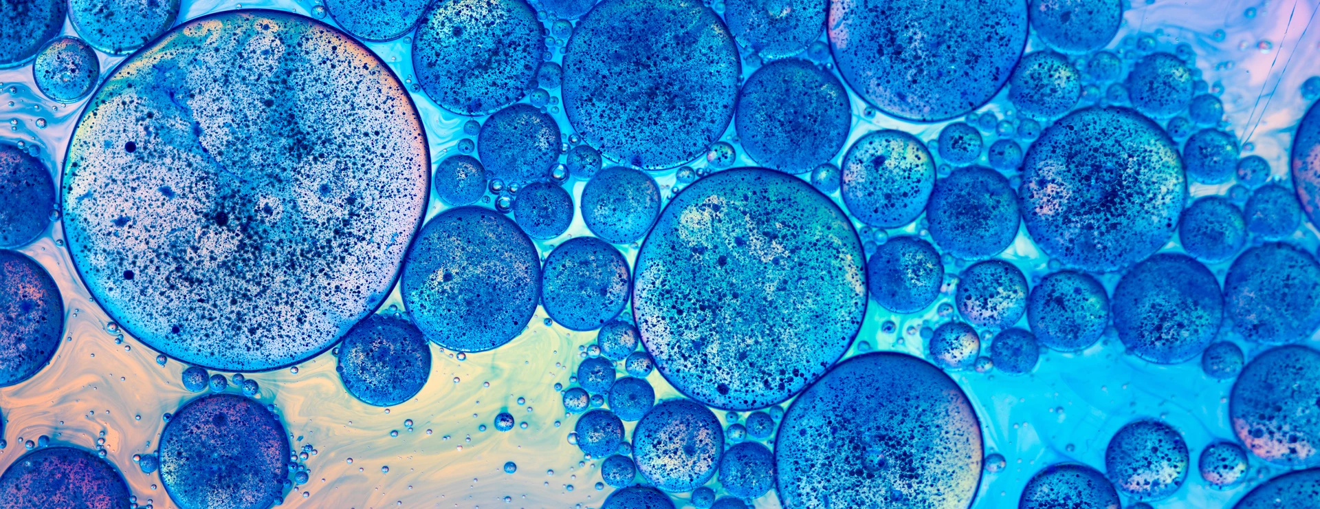 Microscope illustration of human cell