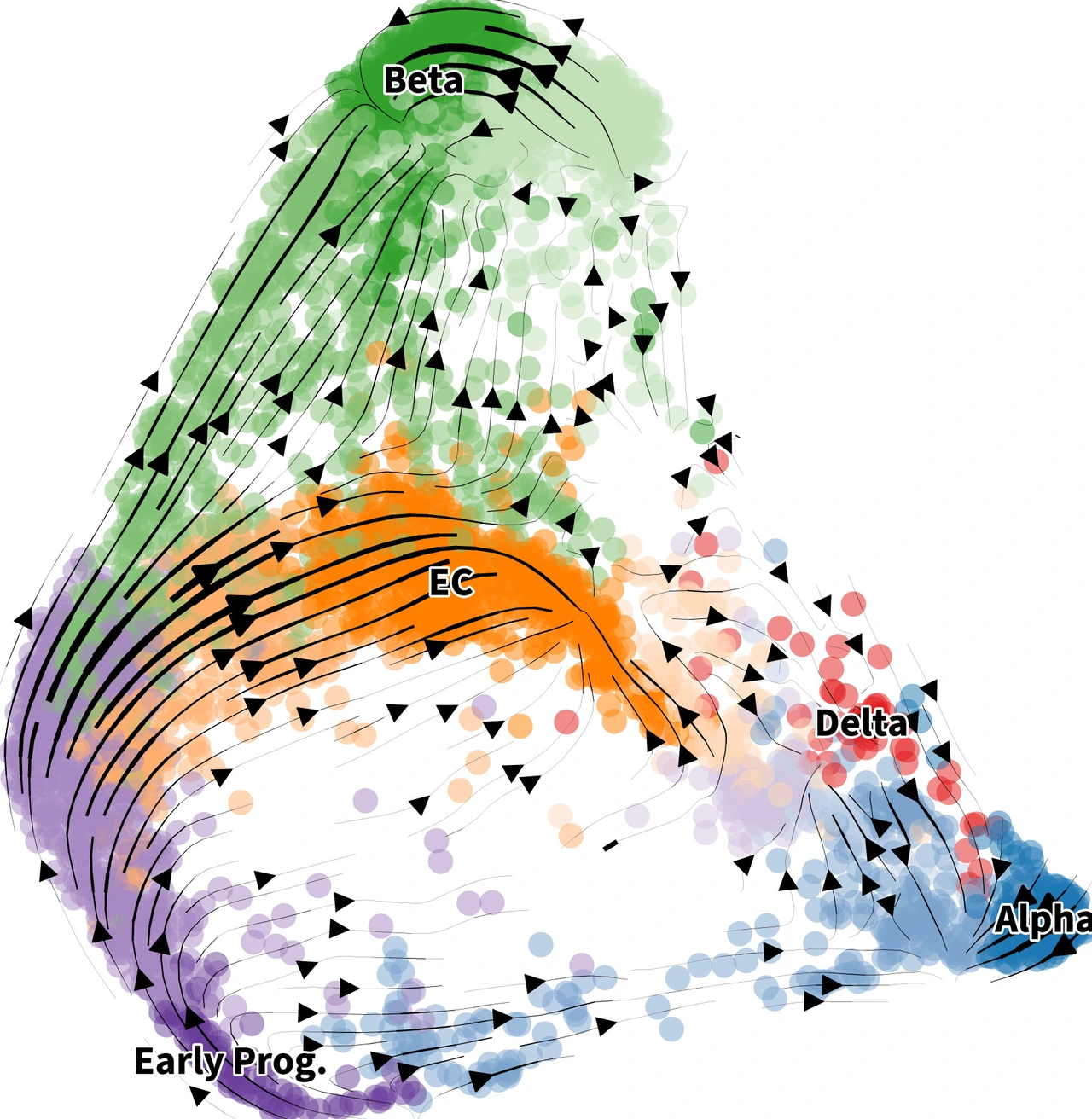 Stream plot IDR single cell analysis group Michael Sterr