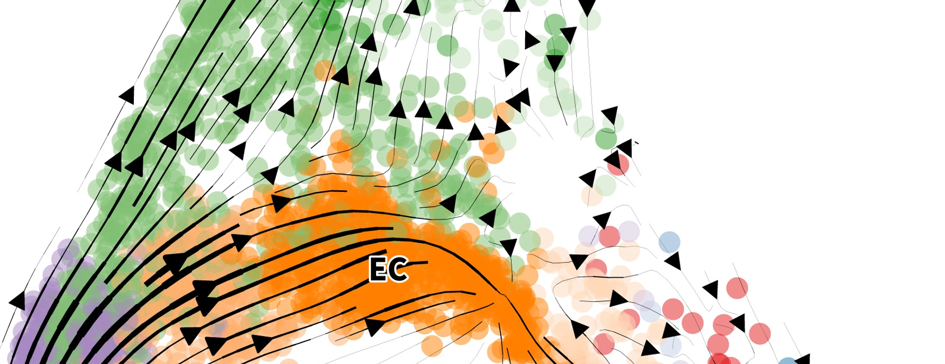 Stream plot IDR single cell analysis group Michael Sterr