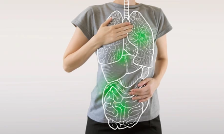 highlighted green internal organs / virus infection and medicine concept