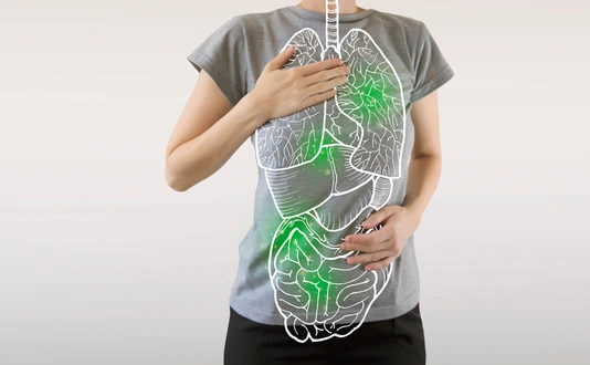 highlighted green internal organs / virus infection and medicine concept
