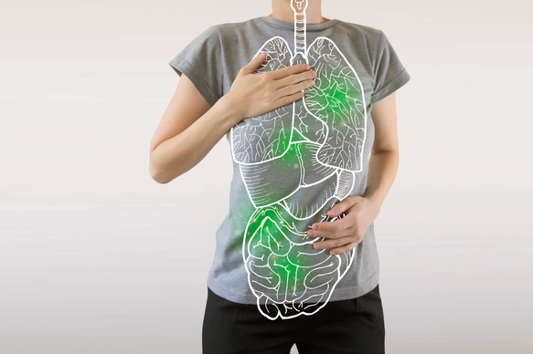 highlighted green internal organs / virus infection and medicine concept
