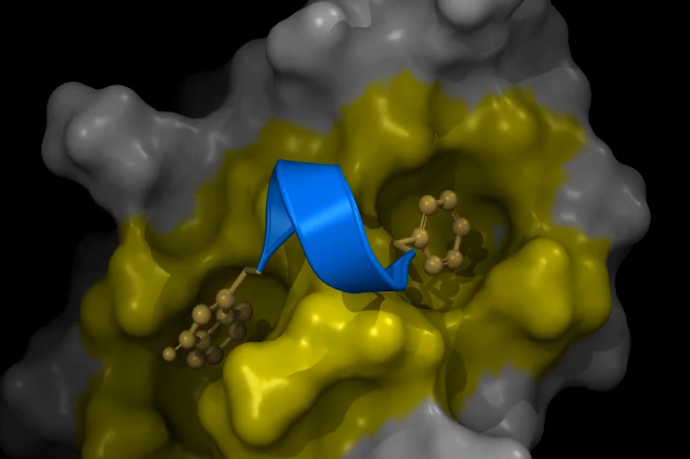 [Translate to German:] 