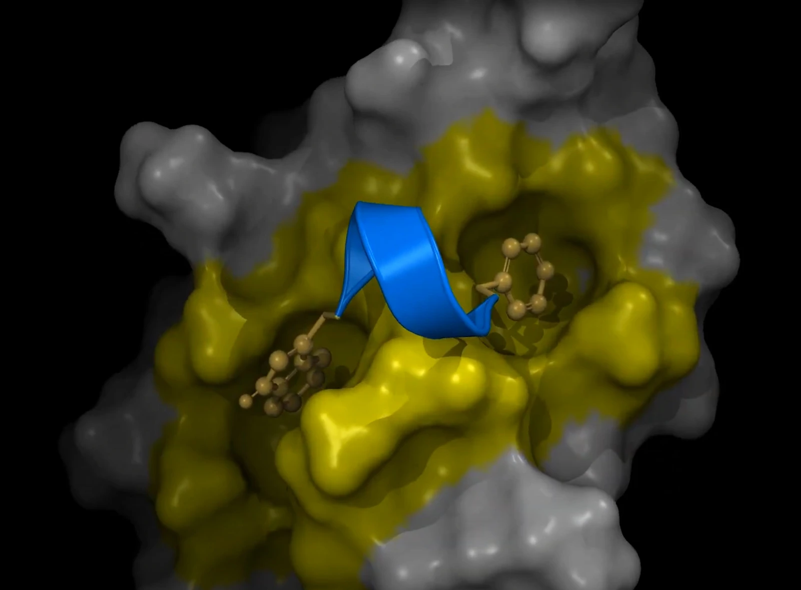3D model Chagas protein blocking molecule