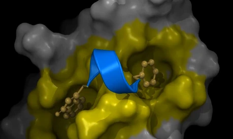 3D model Chagas protein blocking molecule