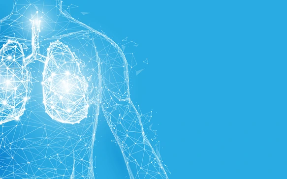 Human lungs anatomy form lines and triangles, point connecting network on blue background. Illustration vector
