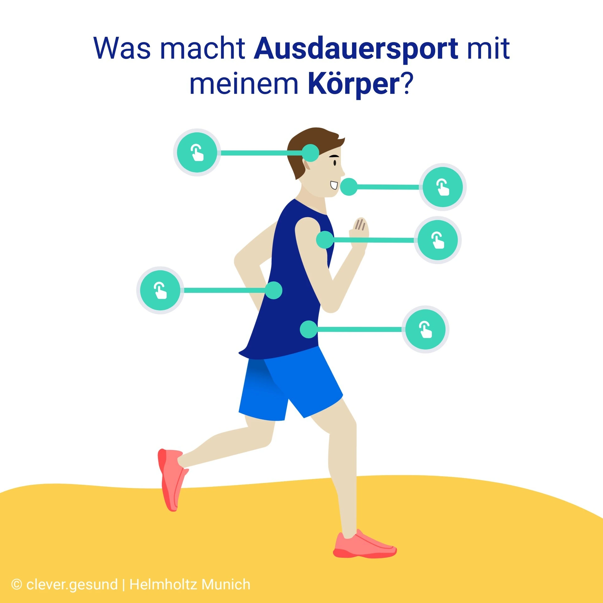 Was macht Ausdauersport mit meinem Körper?