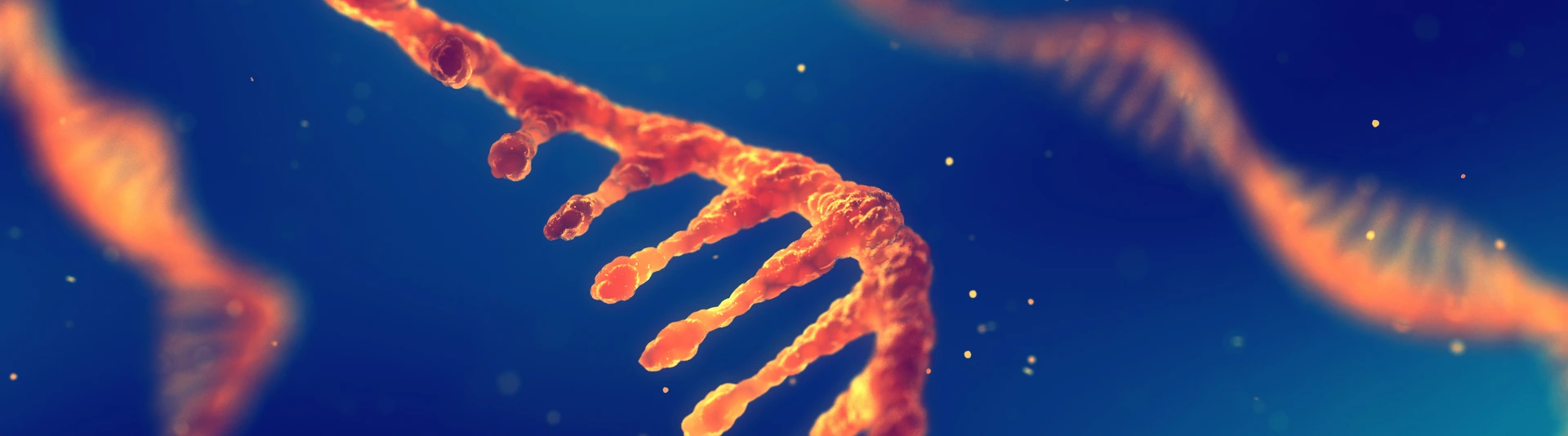 RNA research and therapy