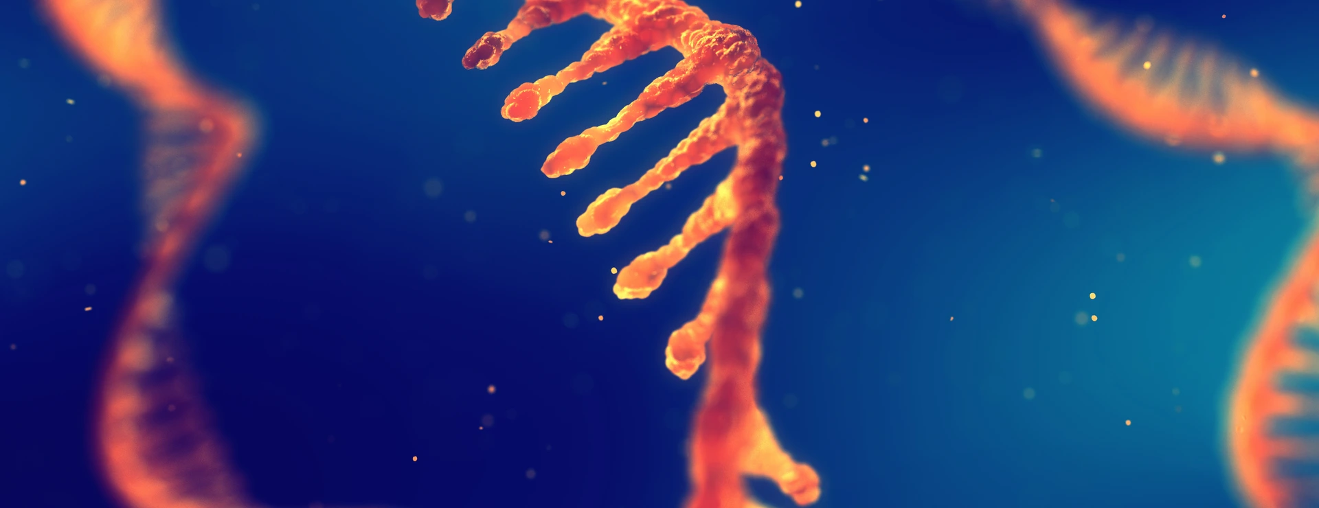 RNA research and therapy
