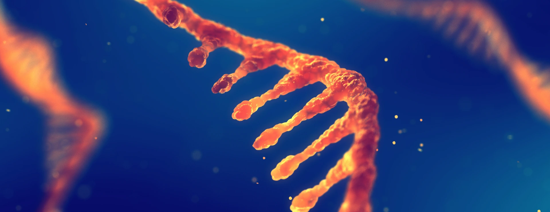 RNA research and therapy