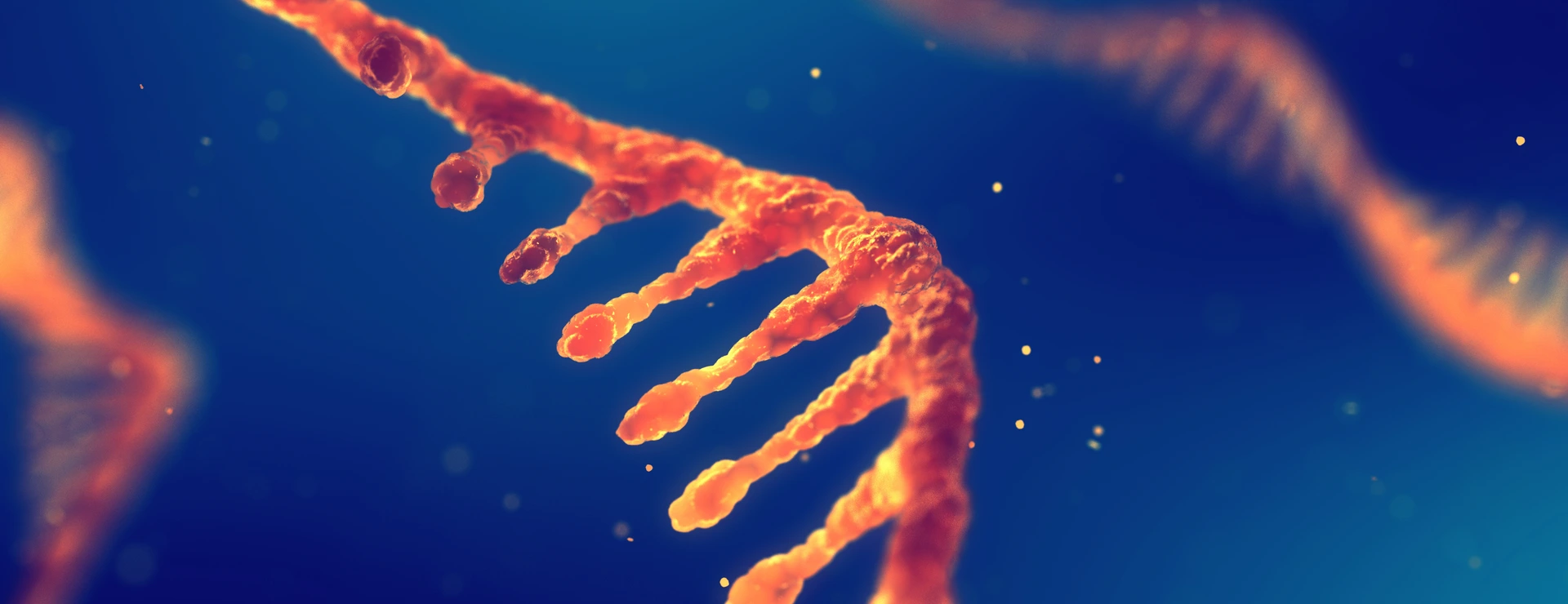 RNA research and therapy