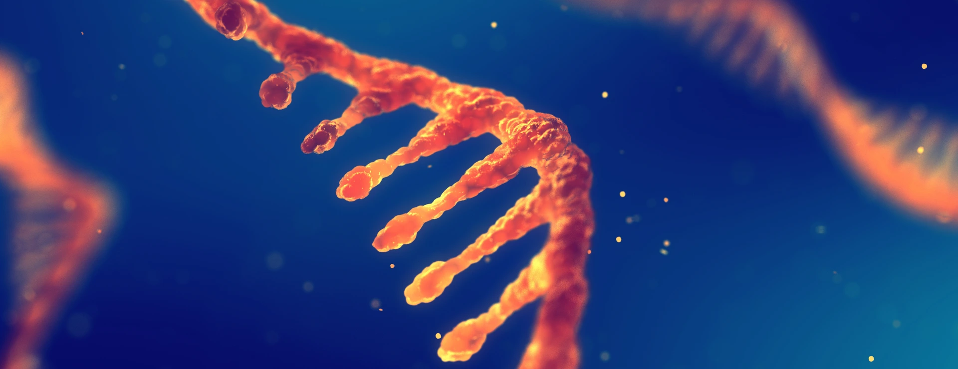 RNA research and therapy