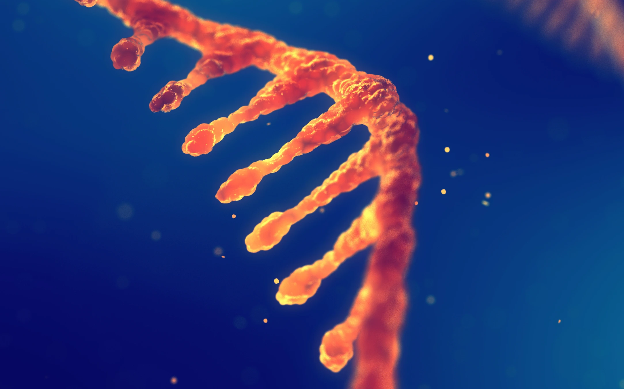 RNA research and therapy