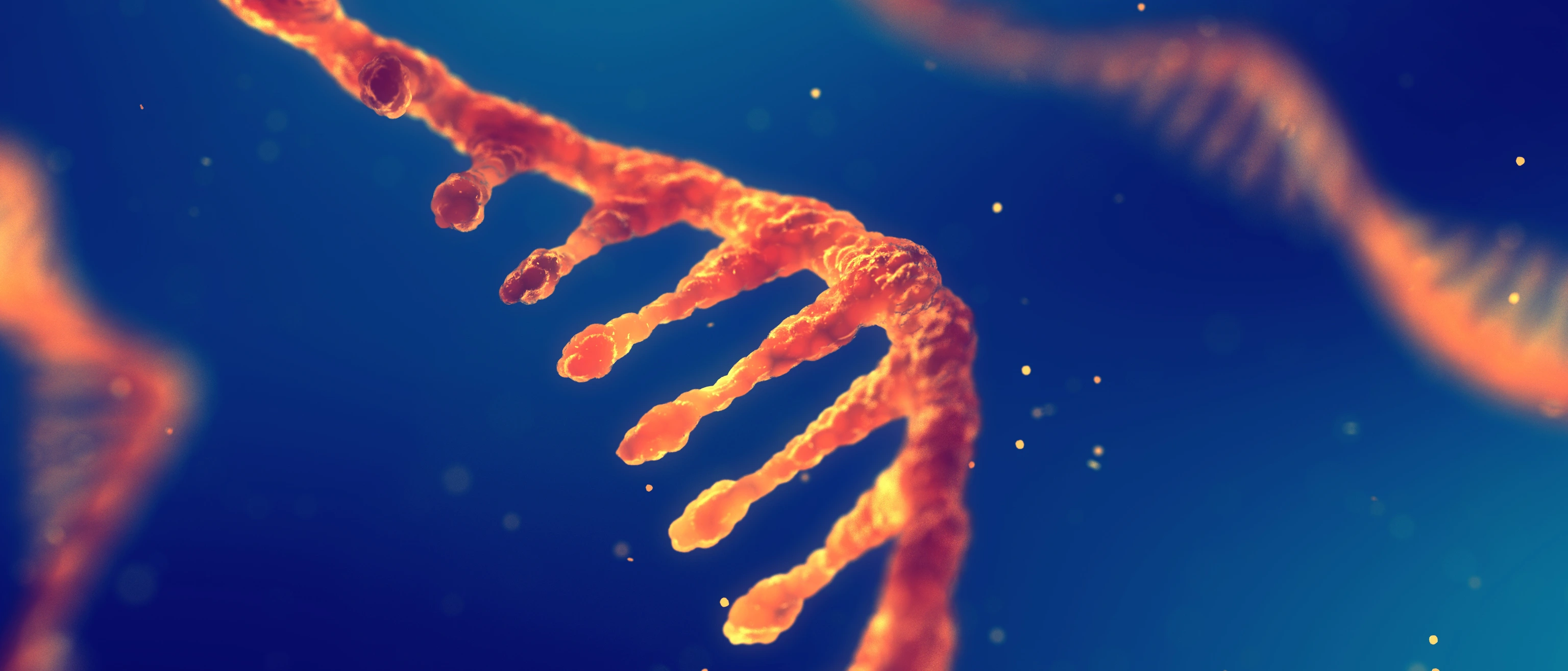 RNA research and therapy