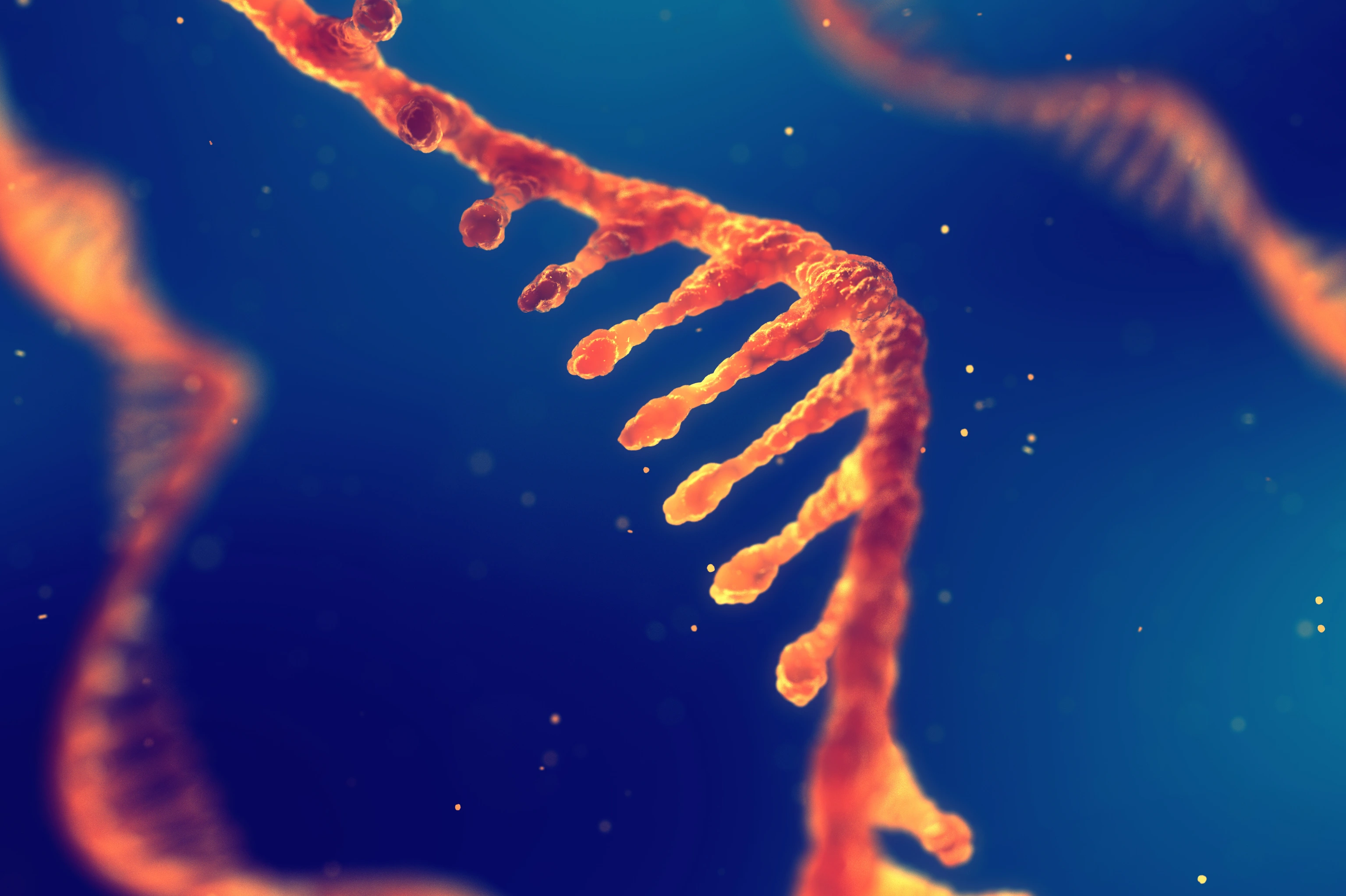 RNA research and therapy