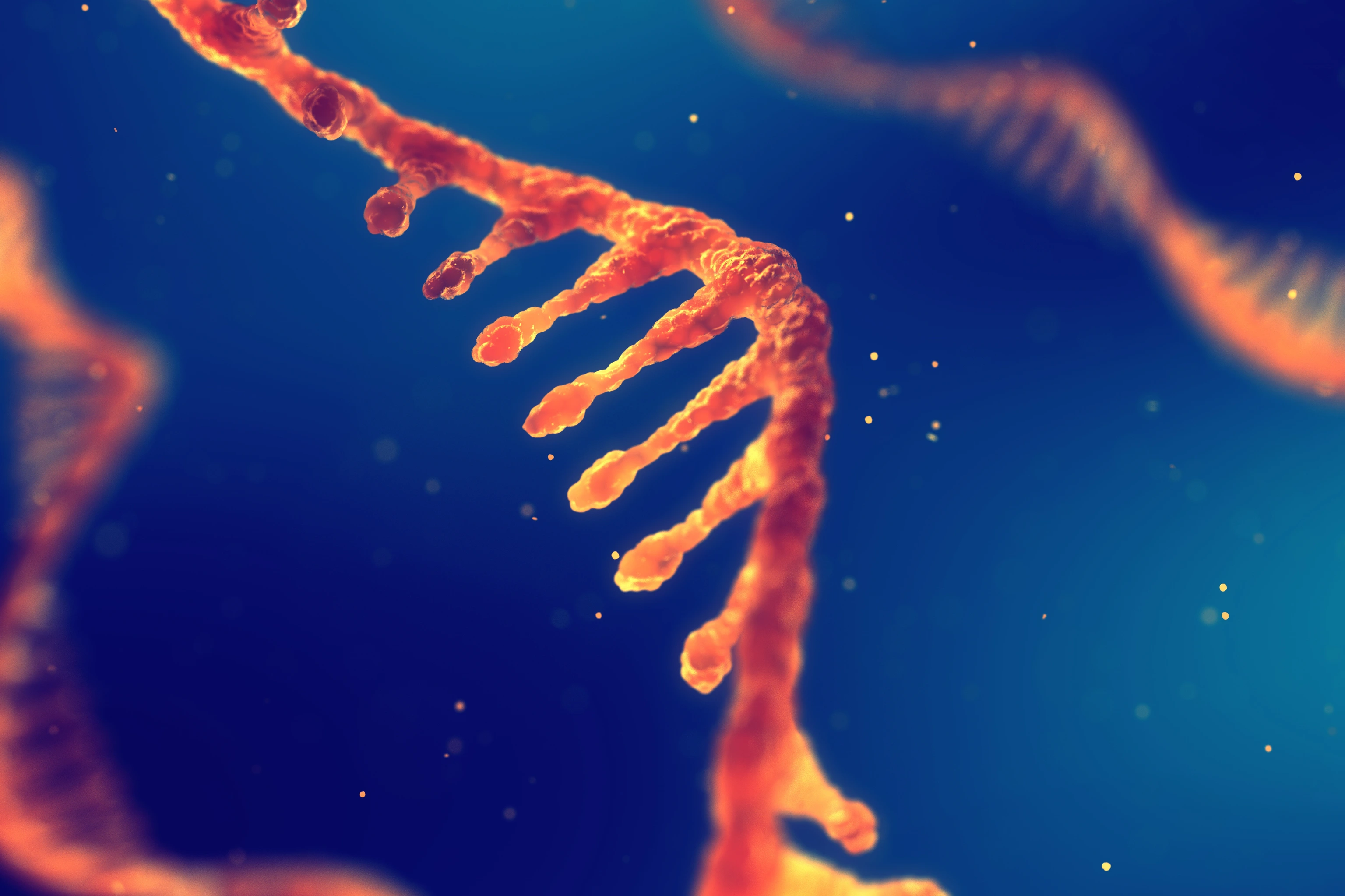 RNA research and therapy