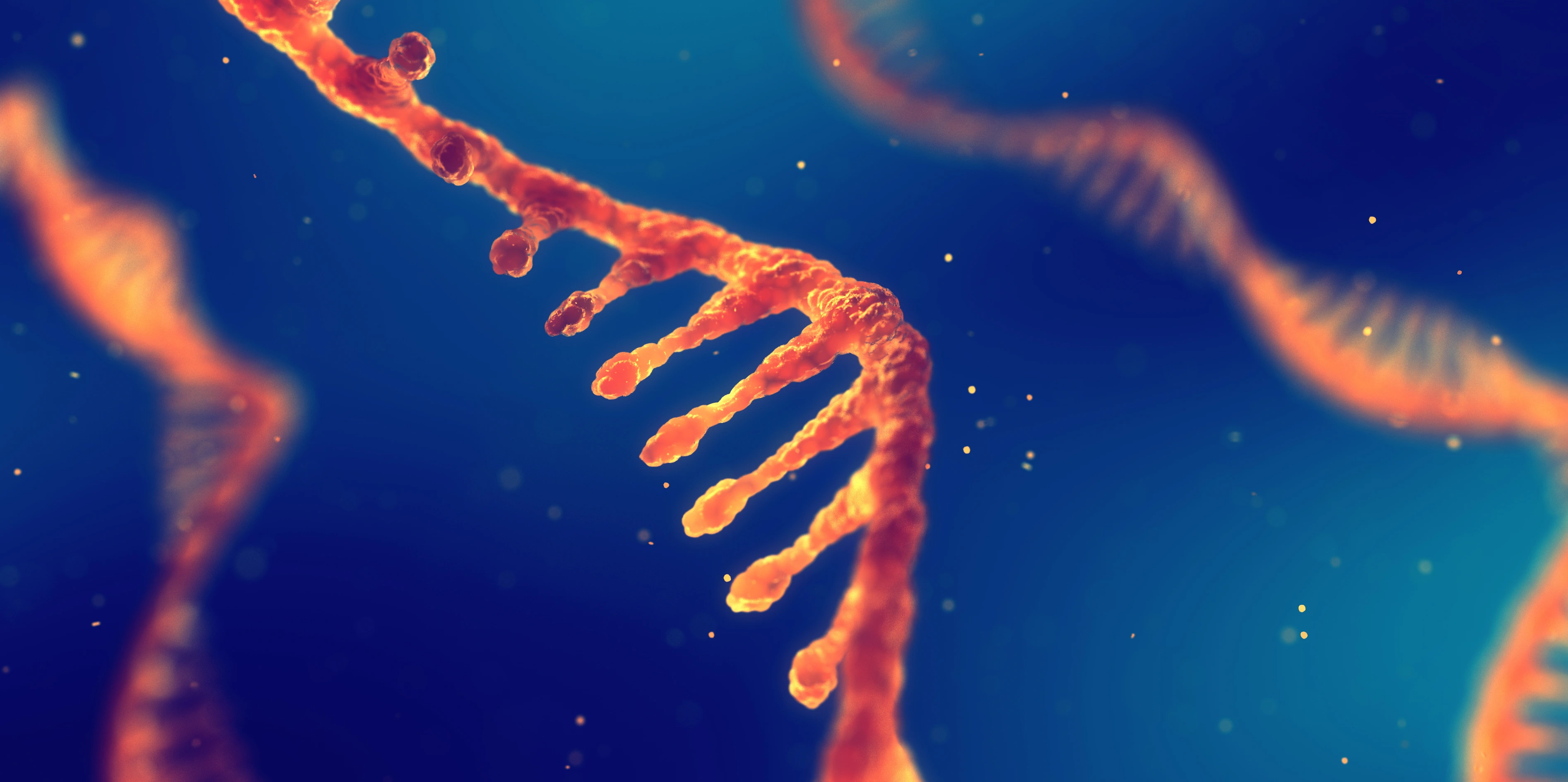 RNA research and therapy