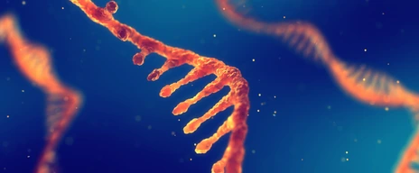 RNA research and therapy